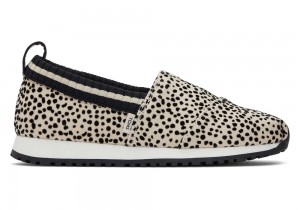 Toms Youth Resident Mini Cheetah Kids Sneakers Leopard | 3614SVJOU