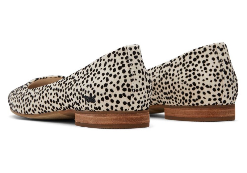 Toms Briella Mini Cheetah Print Flate Sko Leopard | 0145CEROV