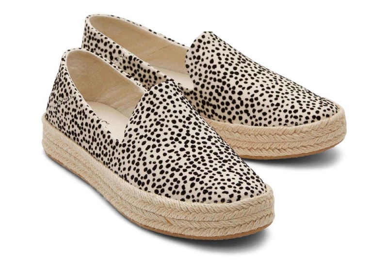 Toms Carolina Mini Cheetah Espadrille Leopard | 4570DSRPJ