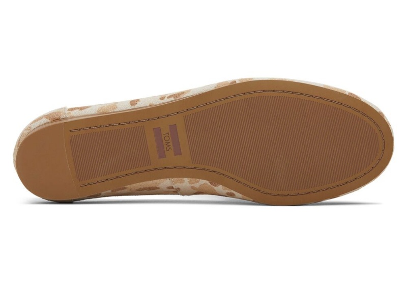 Toms Darcy Flate Sko Oransje Beige | 0162WONIS