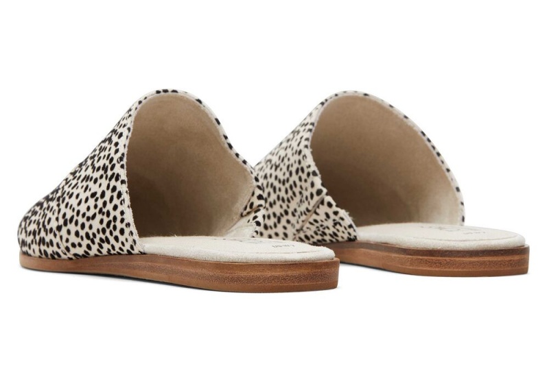 Toms Jade Mini Cheetah Print Flate Sko Leopard | 4629RMCEA