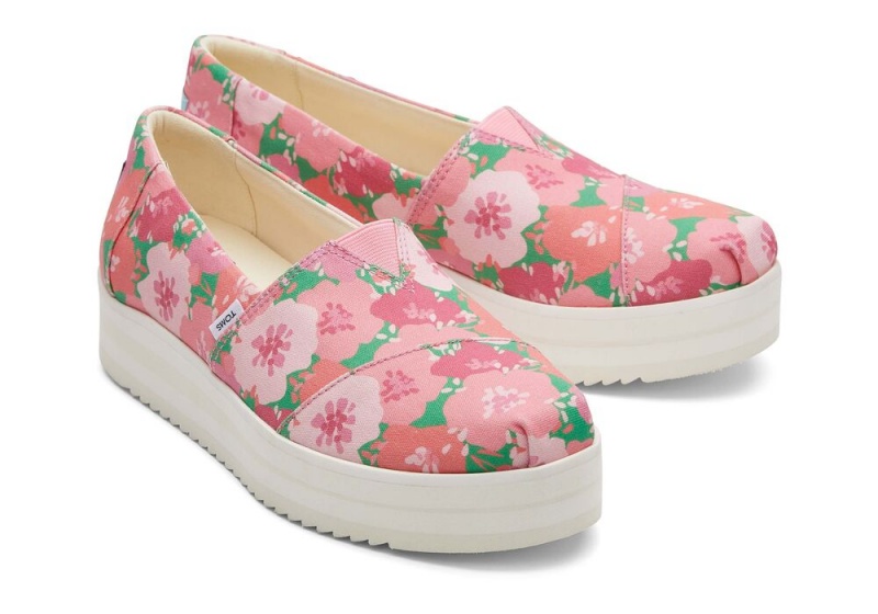 Toms Midform Espadrille Rosa | 2460VSBFW