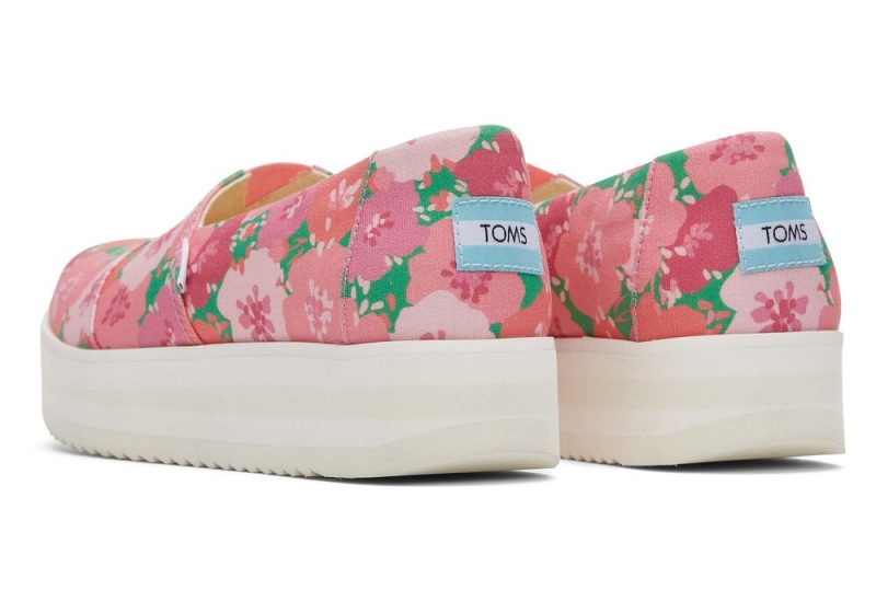 Toms Midform Espadrille Rosa | 2460VSBFW