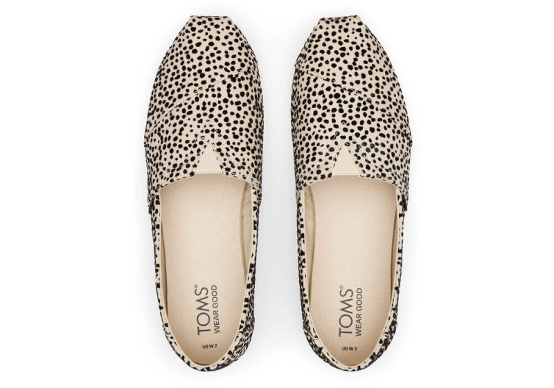 Toms Mini Cheetah Espadrille Leopard | 1496ZFAMV