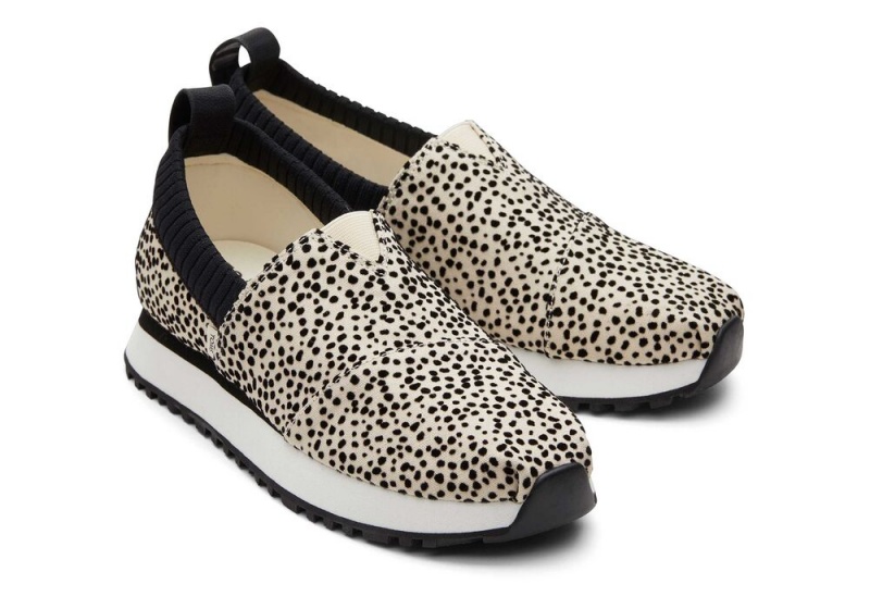 Toms Resident 2.0 Mini Cheetah Sneakers Leopard | 8413MPBSD