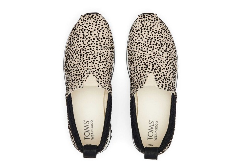 Toms Resident 2.0 Mini Cheetah Sneakers Leopard | 8413MPBSD