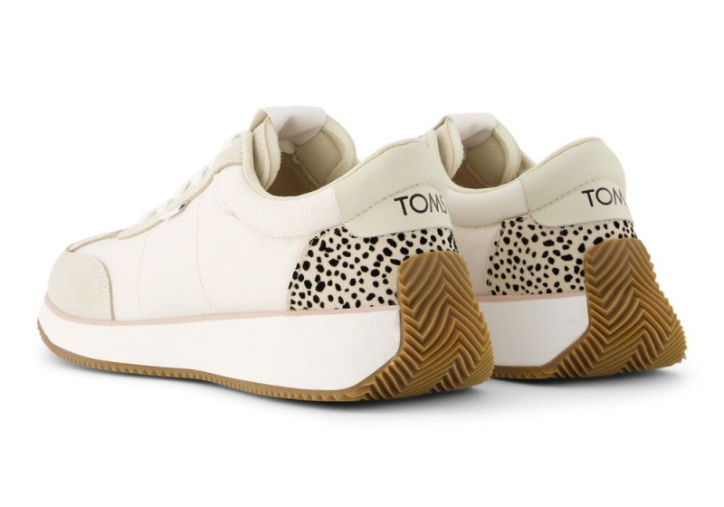 Toms Wyndon Mini Cheetah Jogger Sneakers Leopard | 0485TZJGU